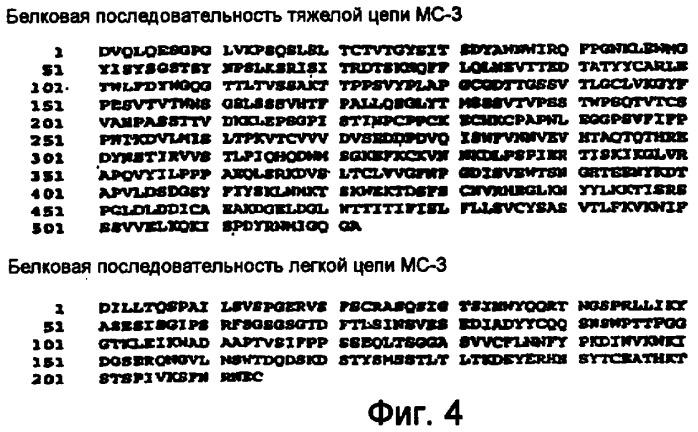 Способы профилактики и лечения ракового метастаза и разрежения кости, связанного с раковым метастазом (патент 2470665)