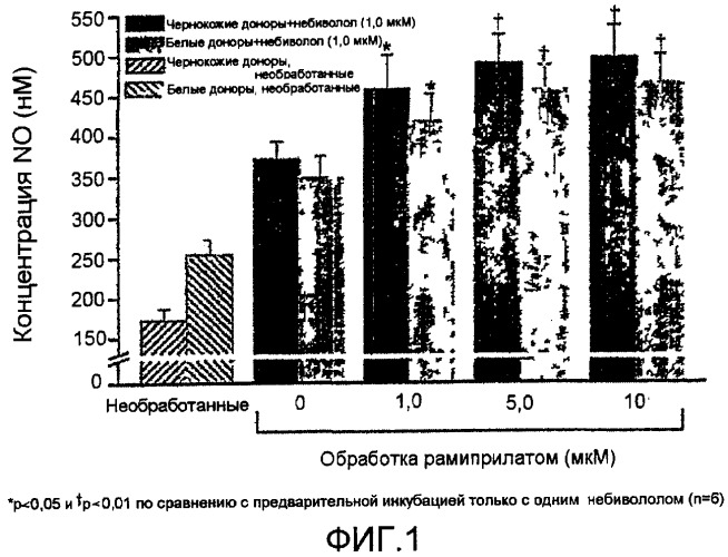 Композиции, содержащие небиволол (патент 2441653)