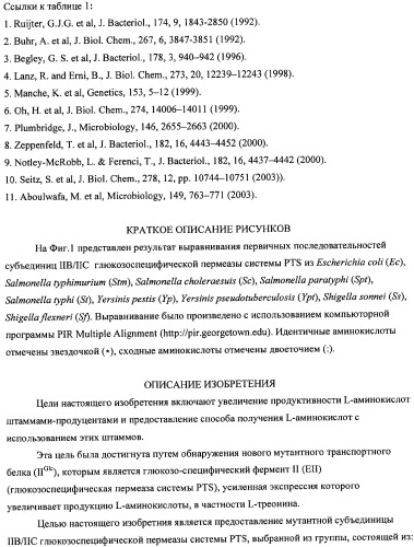 Мутантная iib/iic субъединица глюкозоспецифической пермеазы системы pts, фрагмент днк, бактерия, принадлежащая к роду escherichia, - продуцент l-треонина и способ получения l-треонина (патент 2335536)