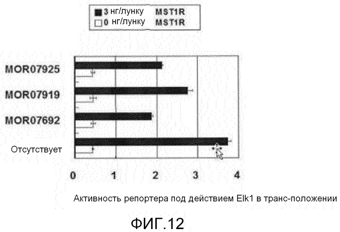 Антитела против mst1r и их применение (патент 2534890)