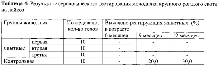 Способ профилактики лейкоза молодняка крупного рогатого скота (патент 2586281)