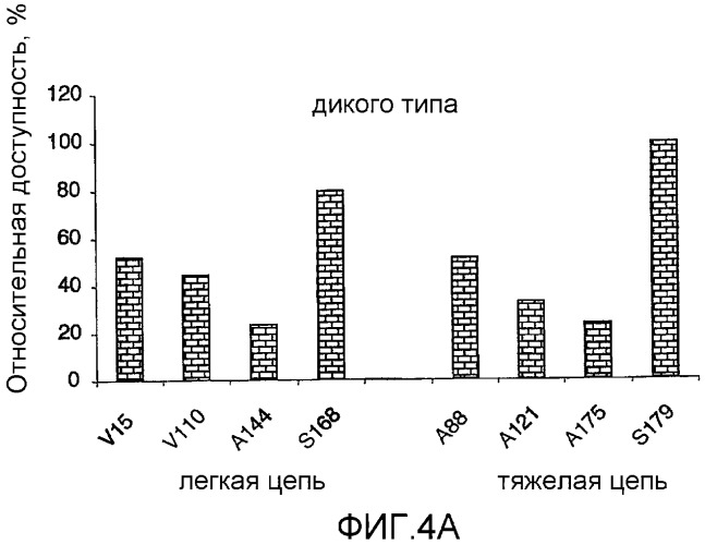 Антитела, сконструированные на основе цистеинов, и их конъюгаты (патент 2412947)