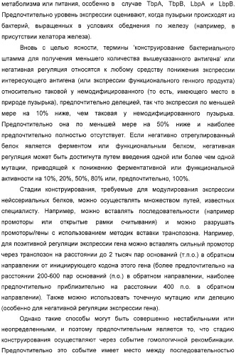 Нейссериальные вакцинные композиции, содержащие комбинацию антигенов (патент 2317106)