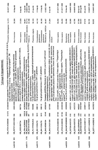 Гены corynebacterium glutamicum, кодирующие белки, участвующие в синтезе мембран и мембранном транспорте (патент 2312145)