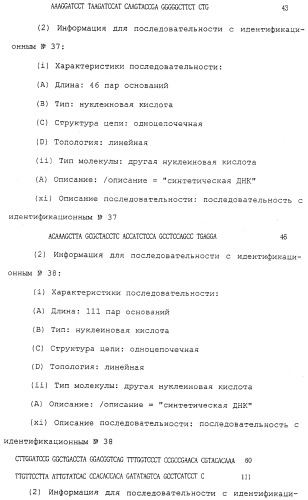 Антитела против белка, родственного паращитовидному гормону человека (патент 2322453)