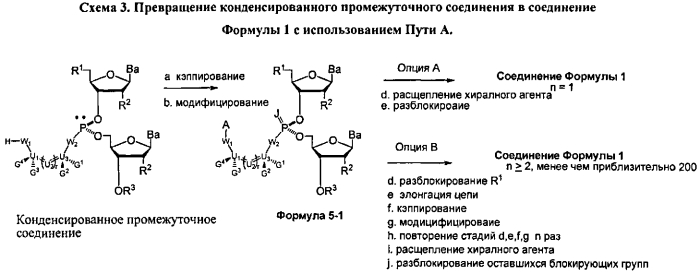 Способ синтеза модифицированных по атому фосфора нуклеиновых кислот (патент 2572826)