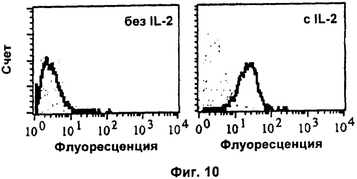 Антитела против il2 (патент 2425054)