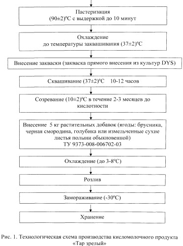 Способ производства кисломолочного продукта "тар зрелый" (патент 2523602)