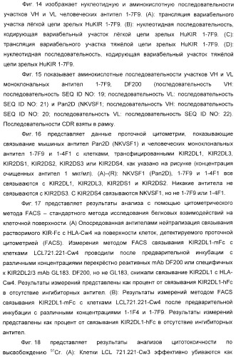 Антитела, связывающиеся с рецепторами kir2dl1,-2,-3 и не связывающиеся с рецептором kir2ds4, и их терапевтическое применение (патент 2410396)