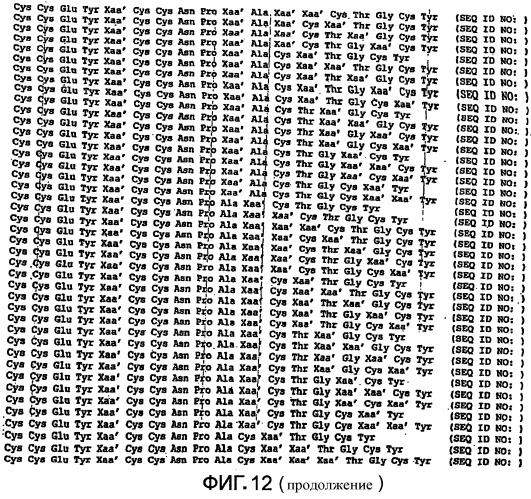 Полипептид для увеличения активности рецептора гуанилатциклазы, фармацевтическая композиция, способ лечения желудочно-кишечного расстройства у пациента, способ повышения активности рецептора гуанилатциклазы у пациента, способ лечения висцеральной боли, способ получения полипептида (варианты), изолированная молекула нуклеиновой кислоты, бактериальный вектор экспрессии и изолированная бактериальная клетка (патент 2433133)