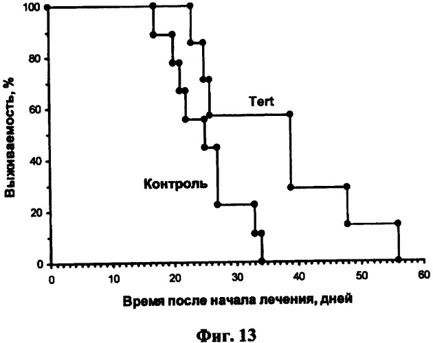 Многопрофильный промотор, экспрессирующий вектор и способ избирательного убийства раковых клеток с их использованием (патент 2476596)