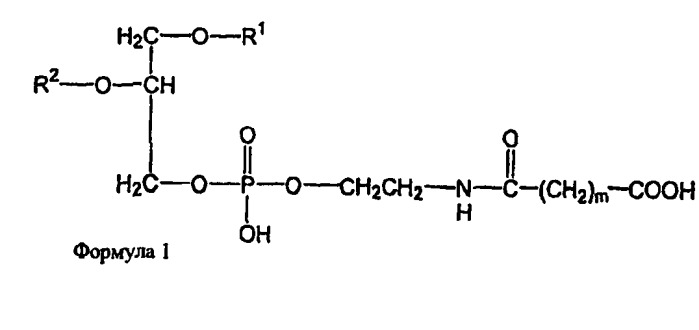 Новые композиции липосом (патент 2454229)