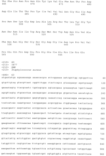 Стабильные иммуногенные композиции антигенов staphylococcus aureus (патент 2570730)