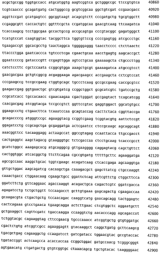 Бактериофаг, обладающий активностью против pseudomonas aeruginosa, белки бактериофага и способы их применения (патент 2580248)