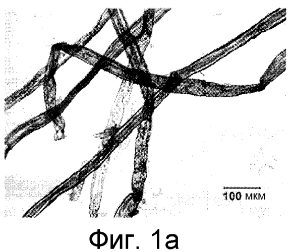 Целлюлозные нанофиламенты и способ их получения (патент 2570470)