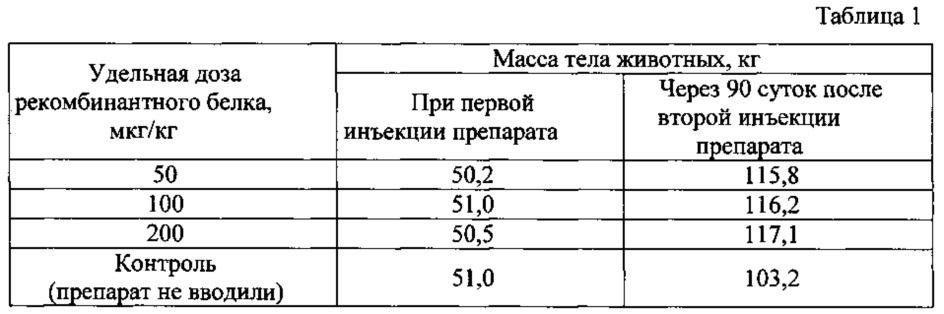 Рекомбинантный белок мио-гсд, способ его получения, инъекционный препарат для повышения мышечной массы сельскохозяйственных животных, птицы и животных семейства псовых, а также способ использования препарата (патент 2613420)