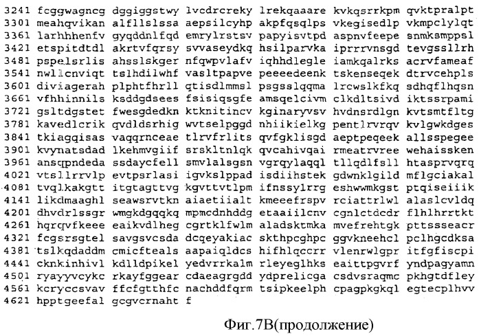 Применение рам (патент 2345785)