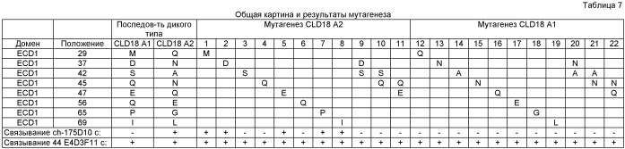 Моноклональные антитела против клаудина-18 для лечения рака (патент 2571923)