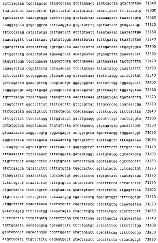 Применение s1p (патент 2362565)