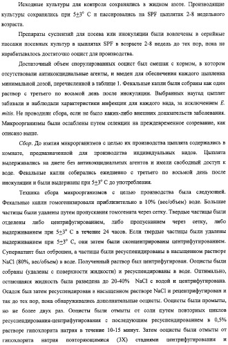 Кокцидиальная вакцина и методы ее приготовления и использования (патент 2324498)