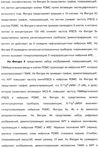 Способ модификации пищевого поведения и применение pyy или его агониста в качестве средства для модификации пищевого поведения (патент 2317104)