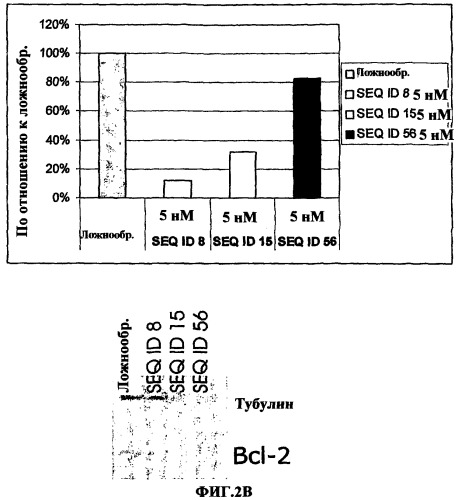 Олигомерное соединение, понижающее экспрессию человеческого гена bcl-2, конъюгат, фармацевтическая композиция и применение олигомерного соединения для лечения рака (патент 2377301)