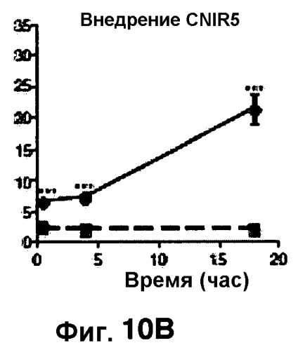 Применение бактериальной бета-лактамазы для диагностики in vitro и визуализации, диагностики и лечения in vivo (патент 2520661)