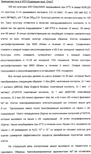 Продуцирование il-21 в прокариотических клетках-хозяевах (патент 2354703)