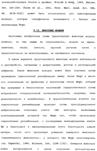 Поликлональное антитело против nogo, фармацевтическая композиция и применение антитела для изготовления лекарственного средства (патент 2432364)