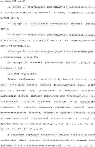 Новые флуоресцирующие белки aequorea coerulscens и способы их применения (патент 2330886)