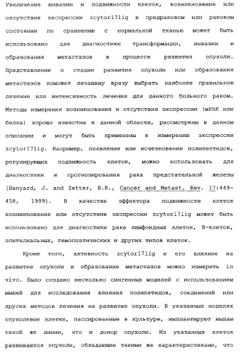Новый лиганд рецептора цитокина zcytor17 (патент 2360923)