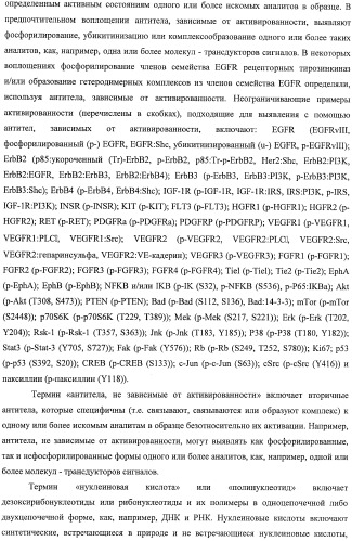 Чипы на основе антител для определения множественных трансдукторов сигналов в редких циркулирующих клетках (патент 2442171)