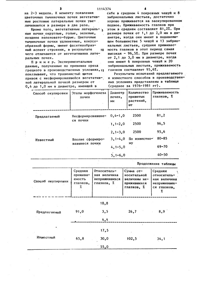 Способ прививки грецкого ореха (патент 1114374)