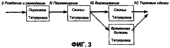 Способ и система для управления мясными продуктами (патент 2301433)