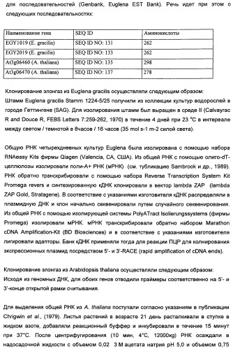 Способ получения полиненасыщенных кислот жирного ряда в трансгенных организмах (патент 2447147)