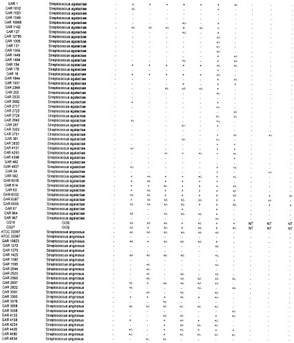 Многокомпонентная иммуногенная композиция для предупреждения заболевания, вызванного  -гемолитическими стрептококками (бгс) (патент 2478396)