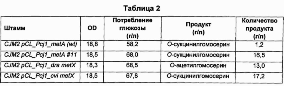 Микроорганизм для получения о-сукцинилгомосерина и способ получения о-сукцинилгомосерина с использованием указанного микроорганизма (патент 2662654)