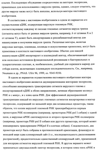 Способы и композиции для экспрессии антисмысловой вирусной рнк в клетках собаки (патент 2457250)