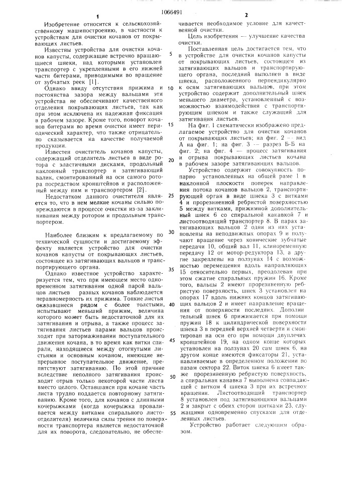 Устройство для очистки кочанов капусты от покрывающих листьев (патент 1066491)