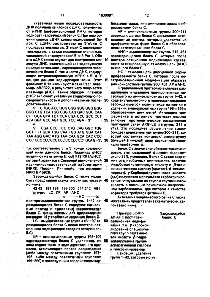 Способ получения рекомбинантного активированного белка с человека (патент 1830081)