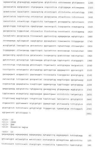 Fad-2-мутанты и растения с высоким содержанием олеиновой кислоты (патент 2461624)