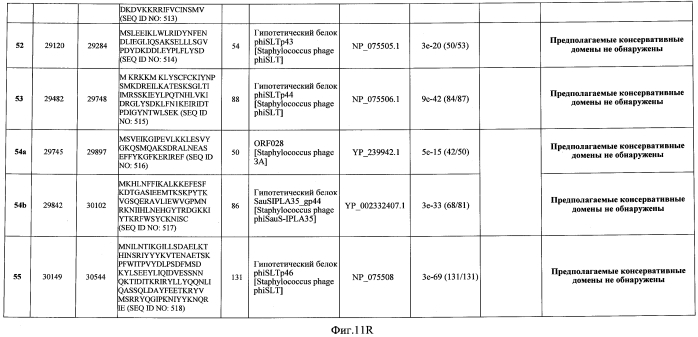 Бактериофаг, обладающий активностью против pseudomonas aeruginosa, белки бактериофага и способы их применения (патент 2580248)