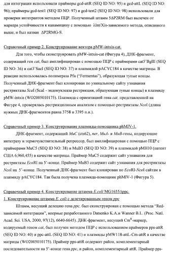 Бактерия семейства enterobacteriaceae - продуцент l-аспарагиновой кислоты или метаболитов, производных l-аспарагиновой кислоты, и способ получения l-аспарагиновой кислоты или метаблитов, производных l-аспарагиновой кислоты (патент 2472853)