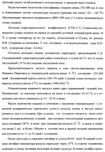 Способ возделывания яровой пшеницы предпочтительно в зоне светло-каштановых почв нижнего поволжья (варианты) (патент 2348137)