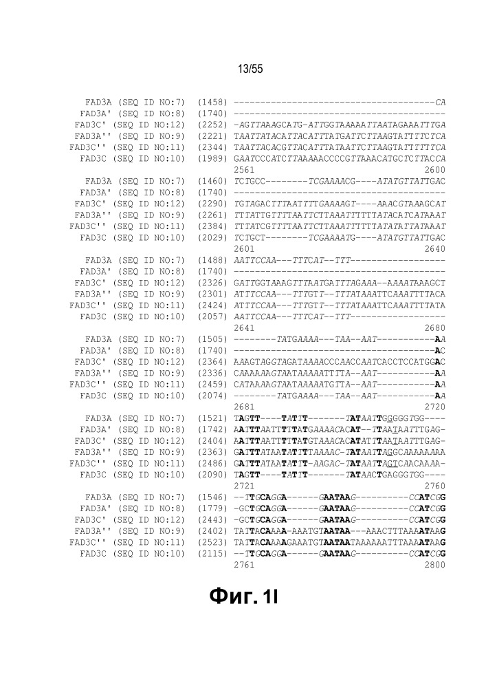 Локусы fad3 для выполнения операций и соответствующие связывающиеся со специфическими сайтами-мишенями белки, способные к вызову направленных разрывов (патент 2665811)