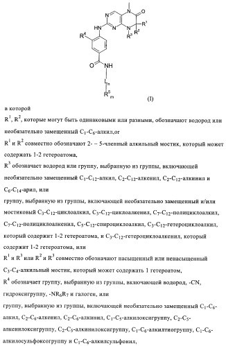 Дигидроптеридиноны, предназначенные для лечения раковых заболеваний (патент 2406503)