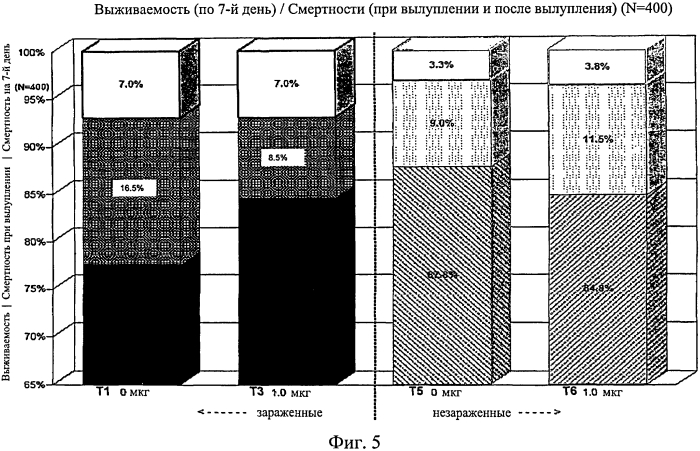 Усиленный иммунный ответ у видов птиц (патент 2570732)