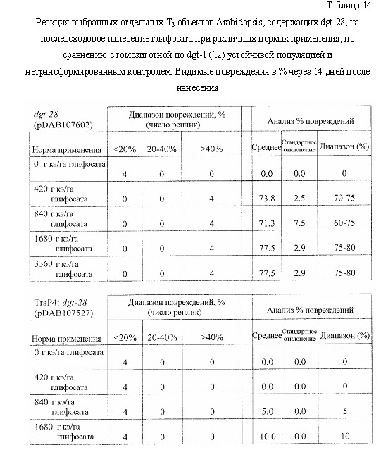 Синтетические транзитные пептиды хлоропласта из brassica (патент 2636035)