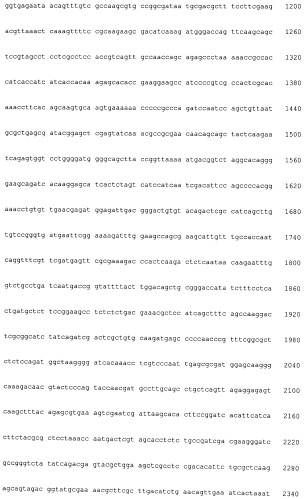 Нуклеиноваяя кислота, обладающая активностью гена фосфатазы фосфатидной кислоты (варианты), белок, рекомбинантный вектор, трансформант и способ получения композиции жирной кислоты (патент 2528875)