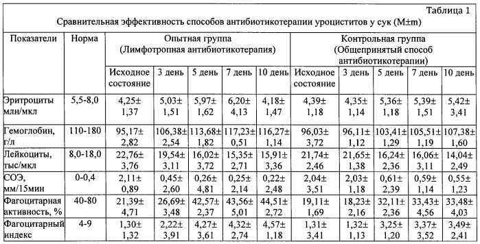 Способ лимфотропной антибиотикотерапии при воспалительных процессах органов мочевыделения у самок домашних плотоядных (патент 2435571)
